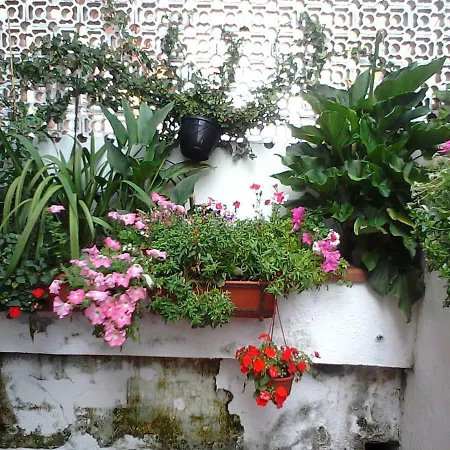 Zona Baia Del Carpino Holiday home *